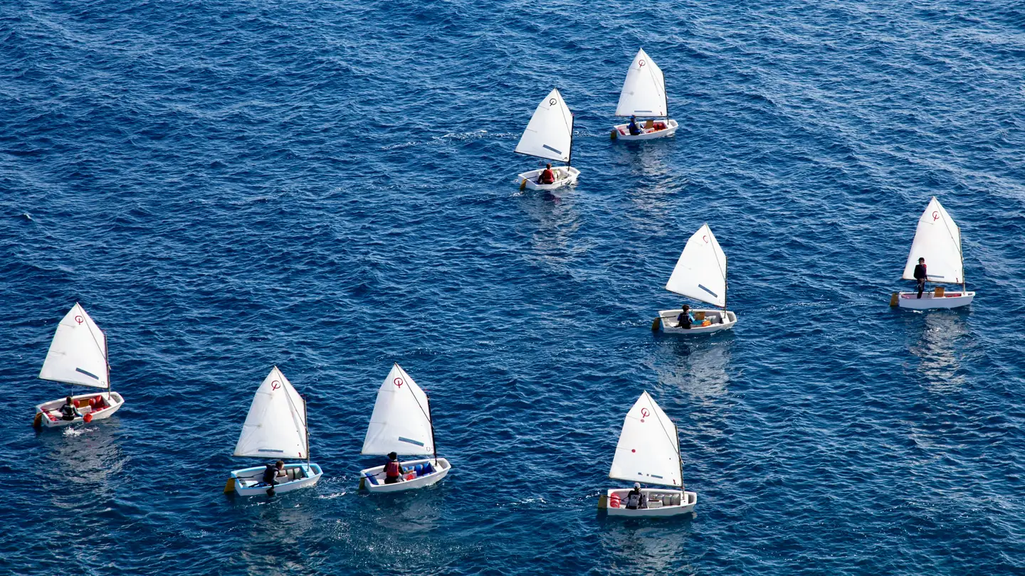 A fleet of Optimist dinghies sailing on open water
